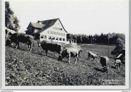 8143 Stallikon - Berghaus, Viehhaltung - 51211563