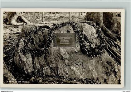 8816 Hirzel Spitzen - Spyristein - 10148310