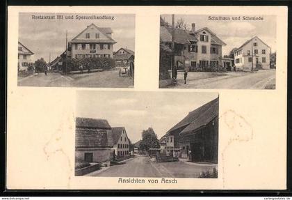 AK Aesch bei Birmensdorf, Restaurant Illi und Spezereihandlung, Schulhaus und Schmiede