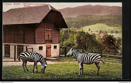 AK Langnau am Albis, Wildpark Langenberg, Zebra