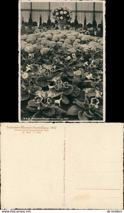 Ansichtskarte Zürich Ausstellung Frühjahrsblumen 1930