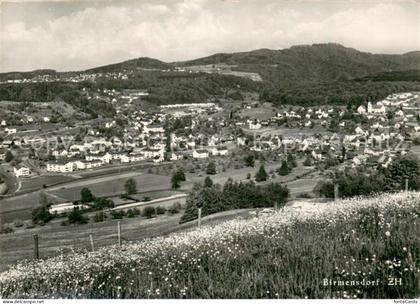 Birmensdorf Panorama