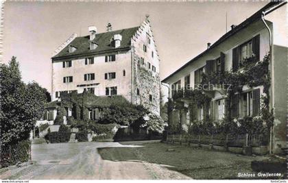 Greifensee Schloss