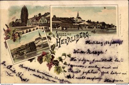 Lithographie Herrliberg am Zürichsee Kanton Zürich, Gesamtansicht