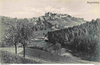 Regensberg Dielsdorf ZH Panorama