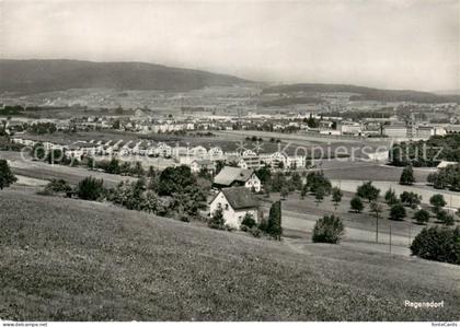 Regensdorf Panorama