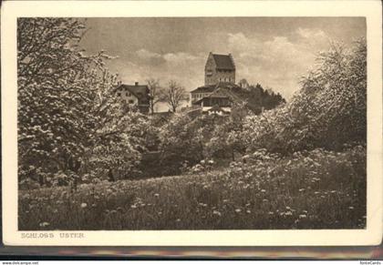 Uster ZH Uster Schloss