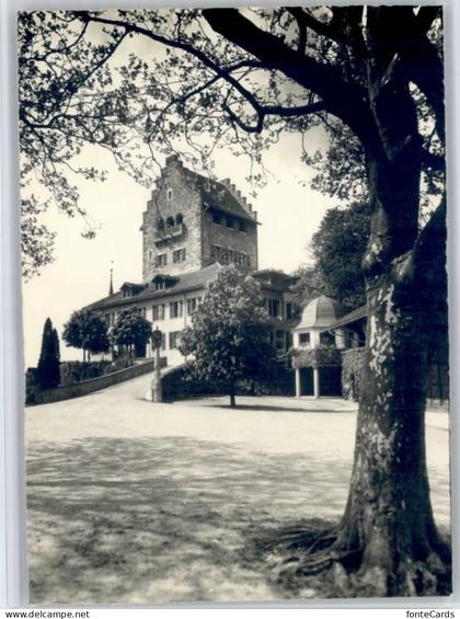 Uster ZH Uster Schloss