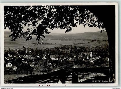 8197 Rafz - 13145612