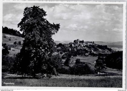 8158 Regensberg - Gesamtansicht - 50799694