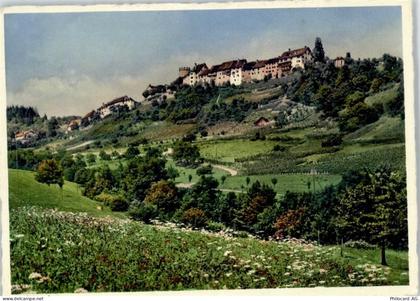 8158 Regensberg - Teilansicht - 50799884