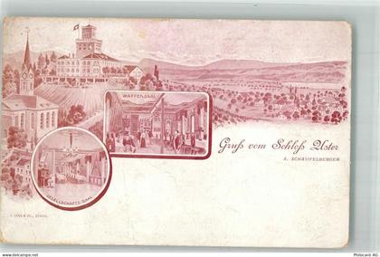 8610 Uster 1908 Gebrauchsspuren Schloss Uster Waffensaal Gesellschaft-Sa... - 14000749