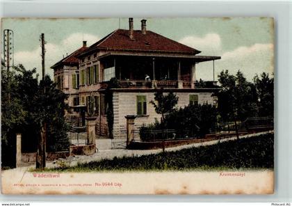 8820 Wädenswil - Krankenasyl - 13218100