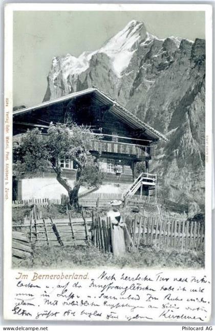 8049 Höngg - Im Berner Oberland - 51138067