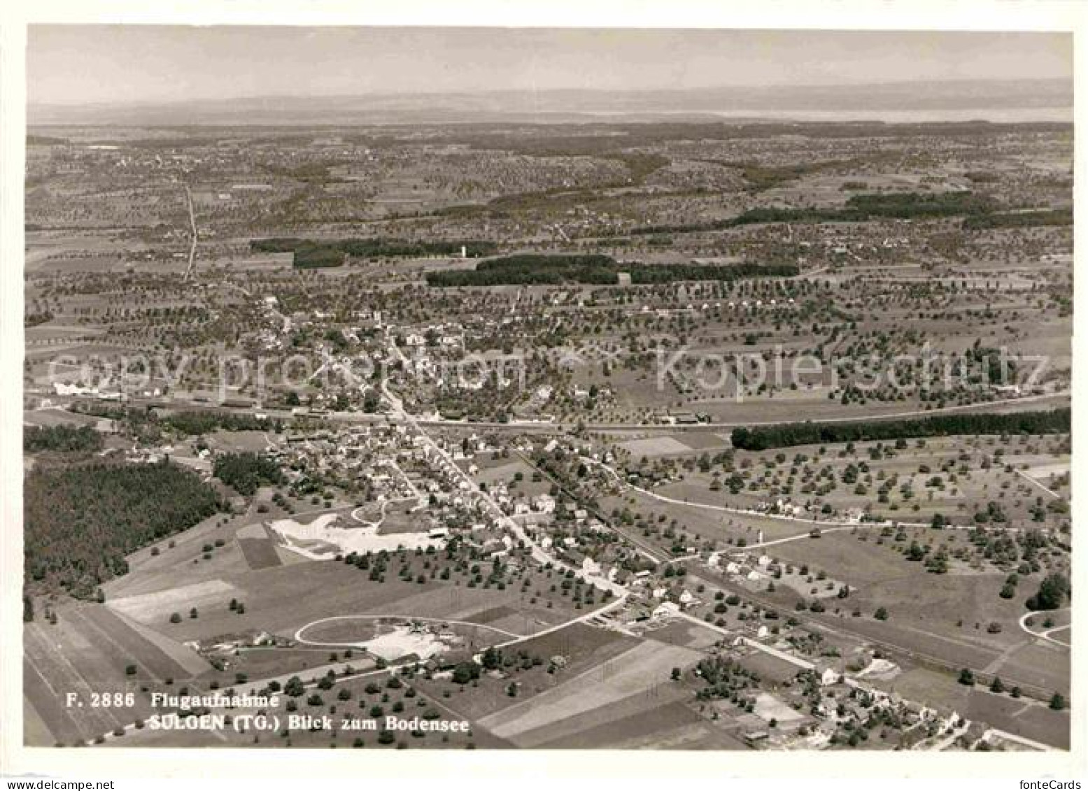 Sulgen Bischofszell Fliegeraufnahme mit Bodensee
