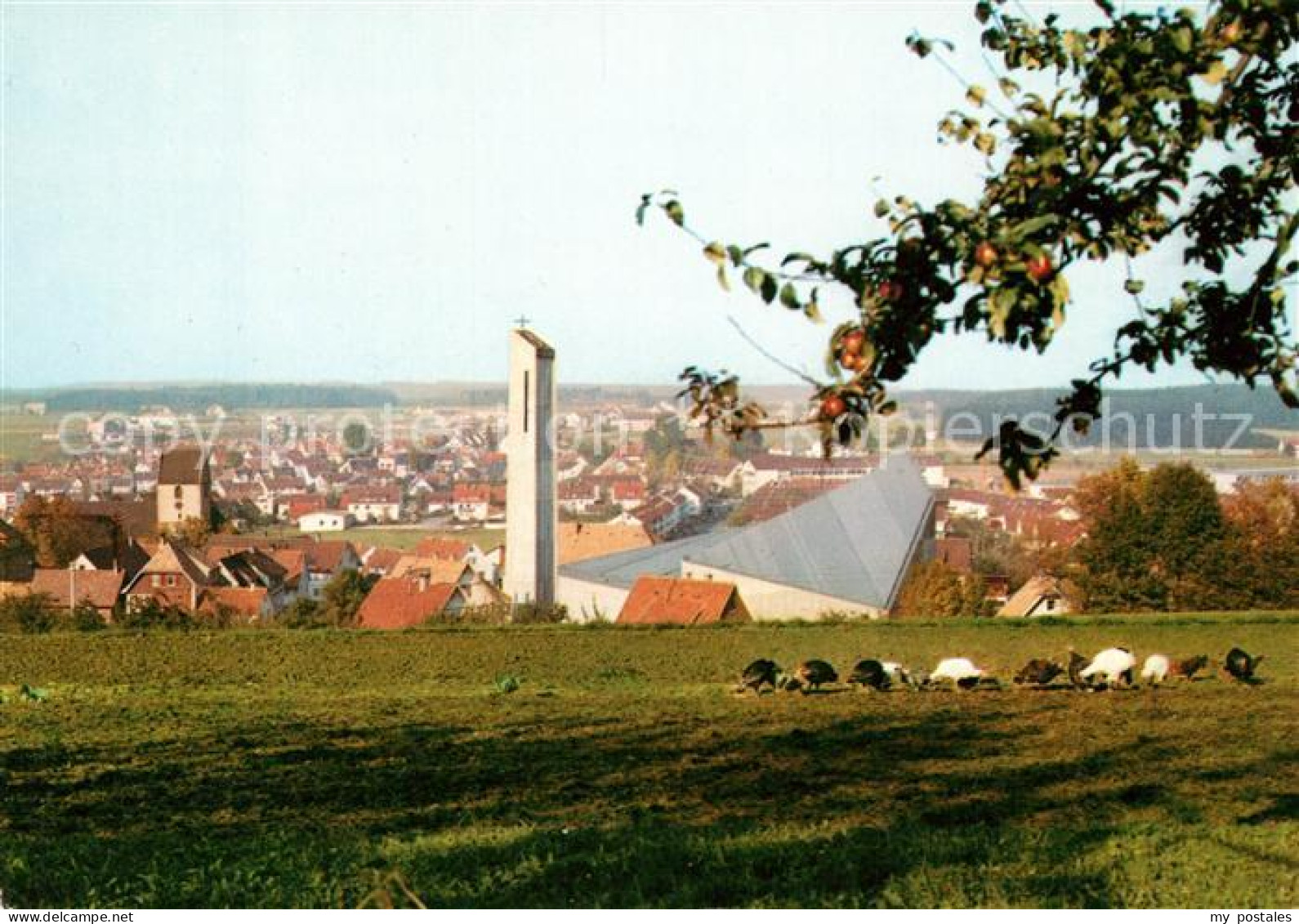 Sulgen Schramberg Alte neue Katholische Kirche