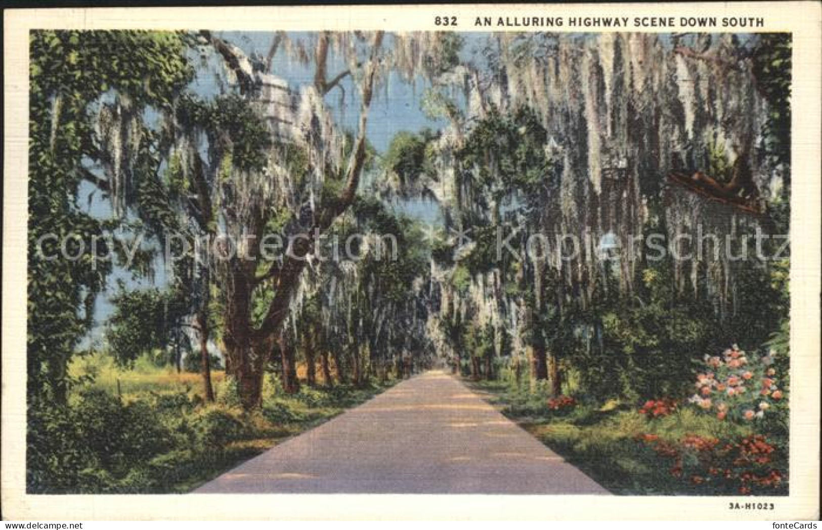 Summerville South Carolina Alluring Highway Scene down South