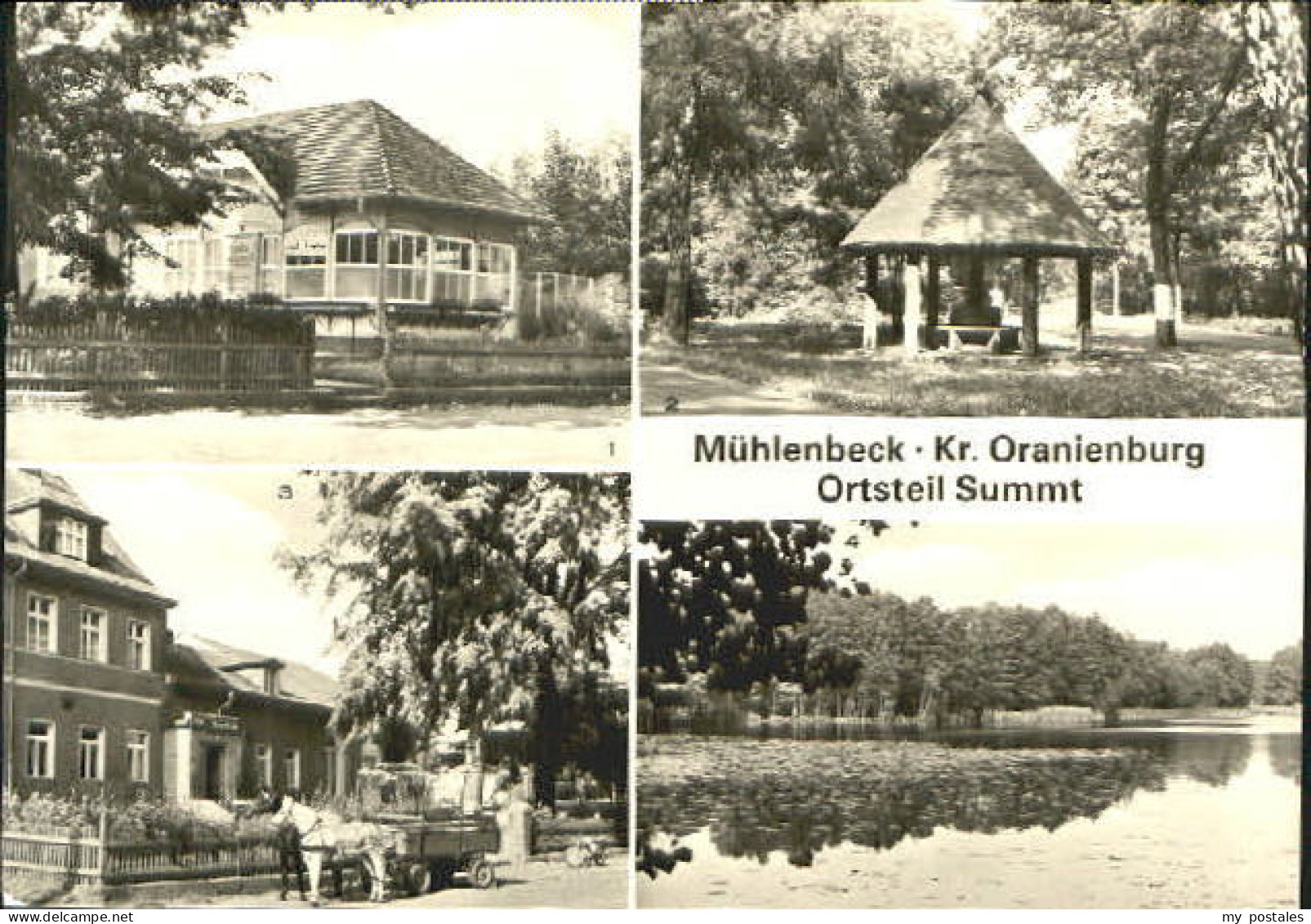 Summt Muehlenbeck x 1985