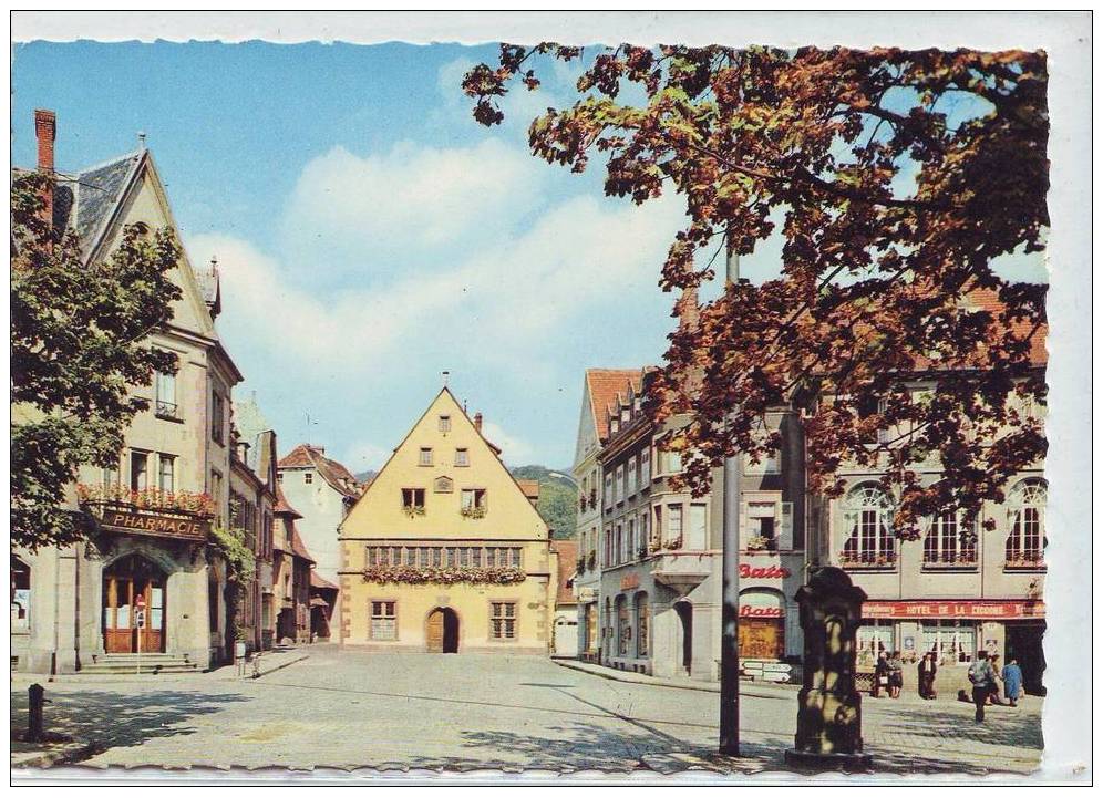 SUPERBE CPM...MUNSTER... LA MAIRIE.