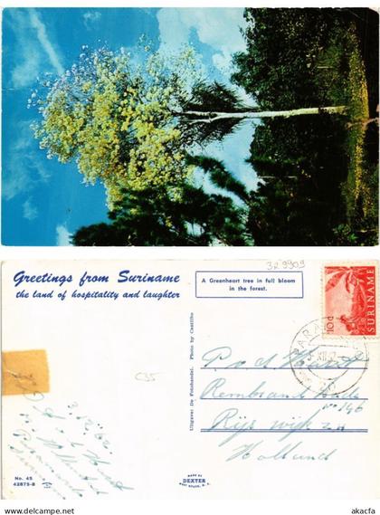 CPM SURINAME-Greetings from Suriname (329909)