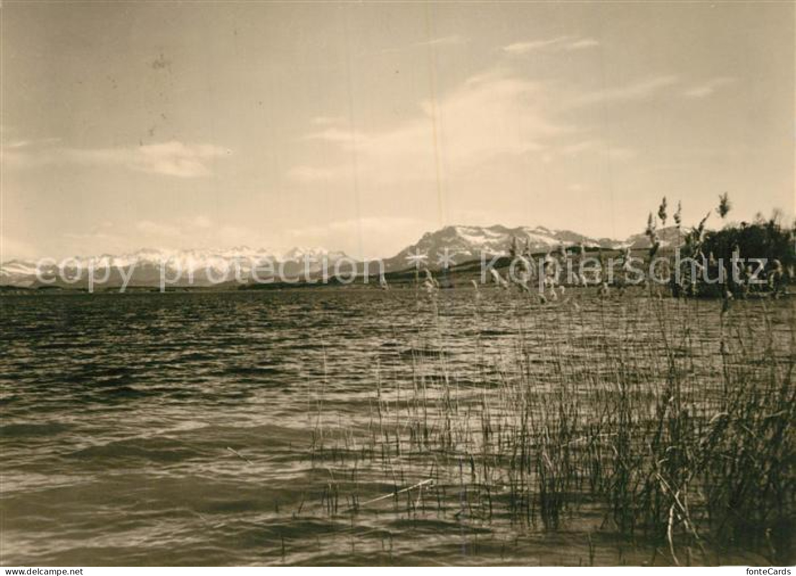 Sursee Sempachersee