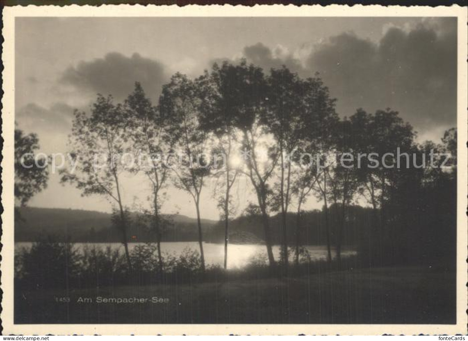 Sursee Sempachersee