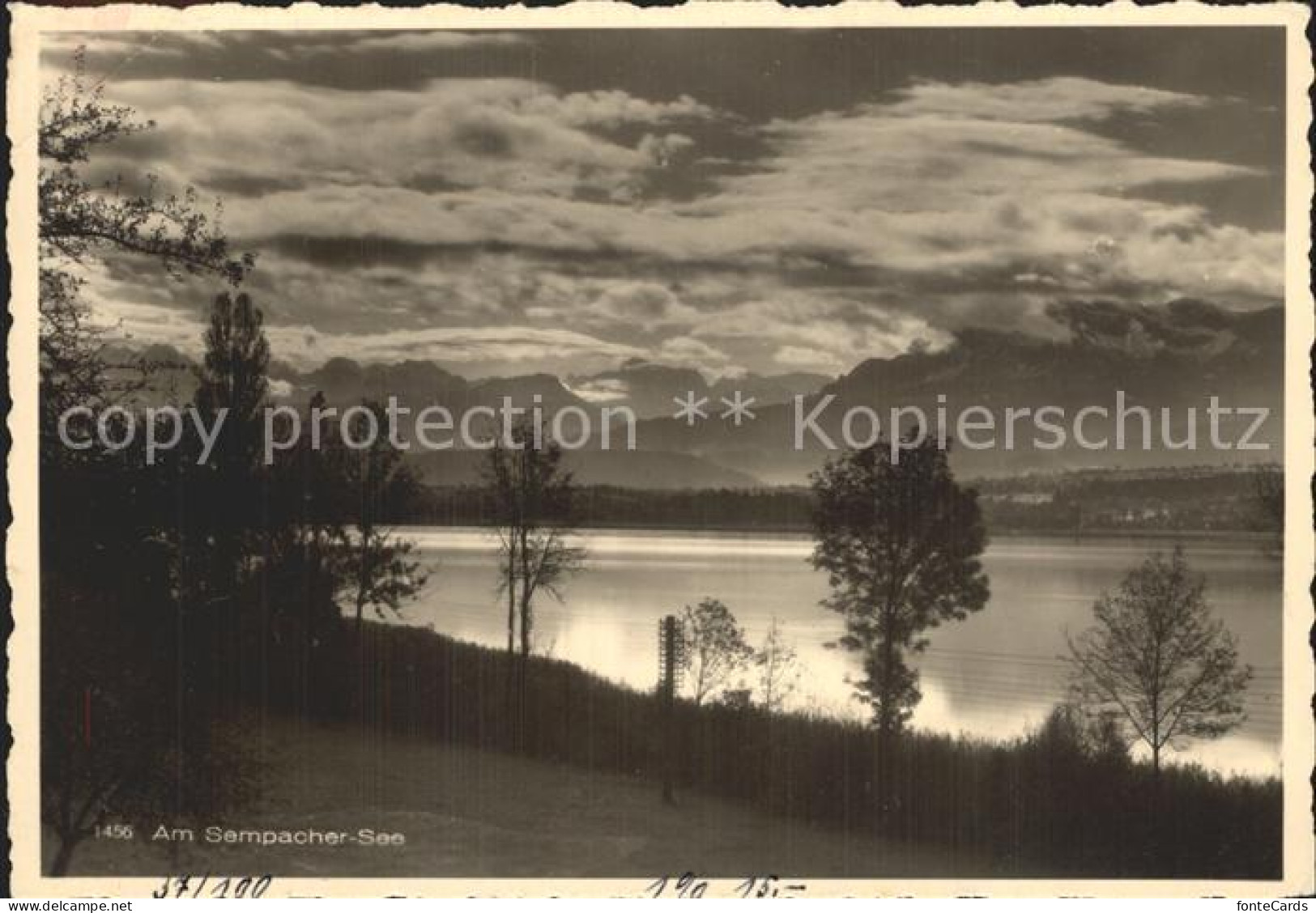 Sursee Sempachersee