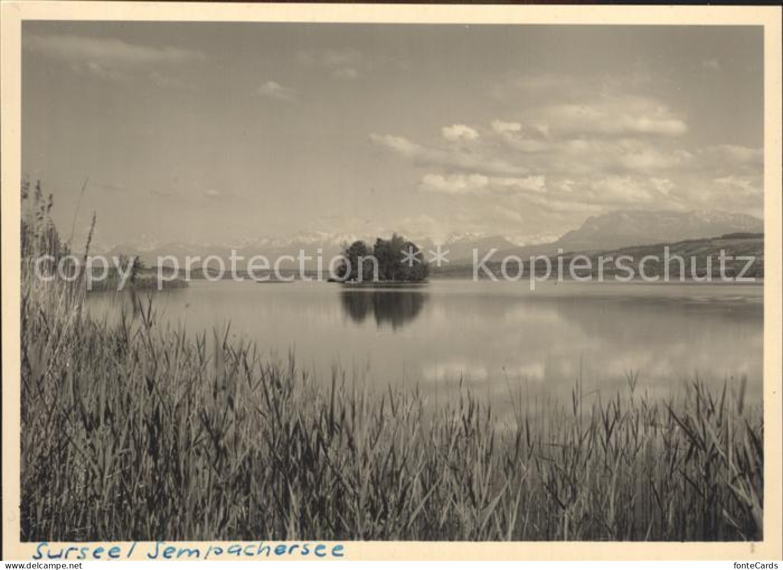 Sursee Sempachersee
