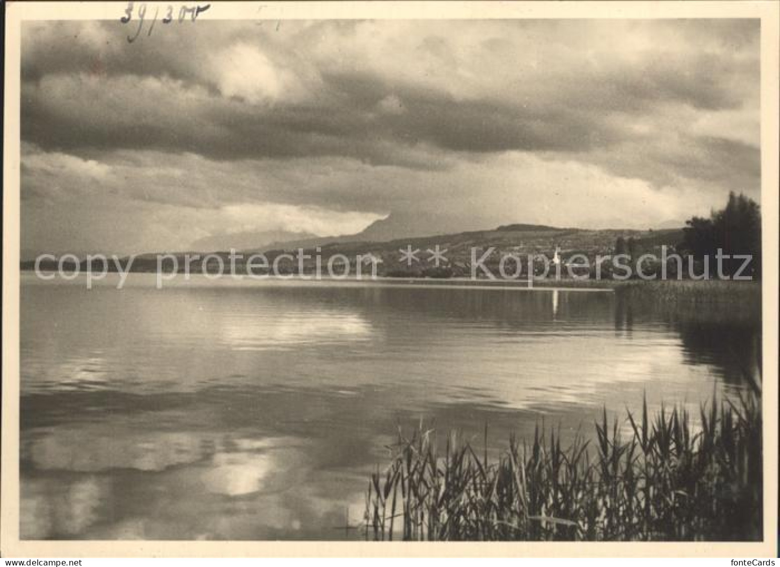 Sursee Sempachersee