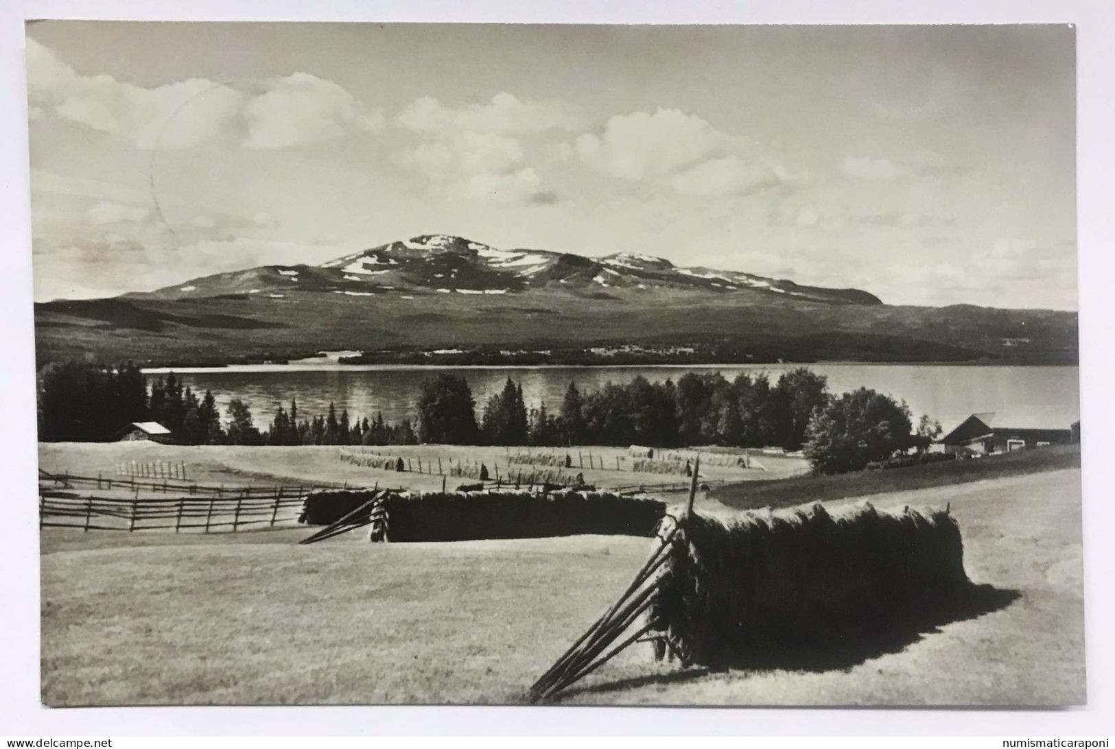 svezia sweden cartolina  VIAGGIATA 1955 COD.C.4280