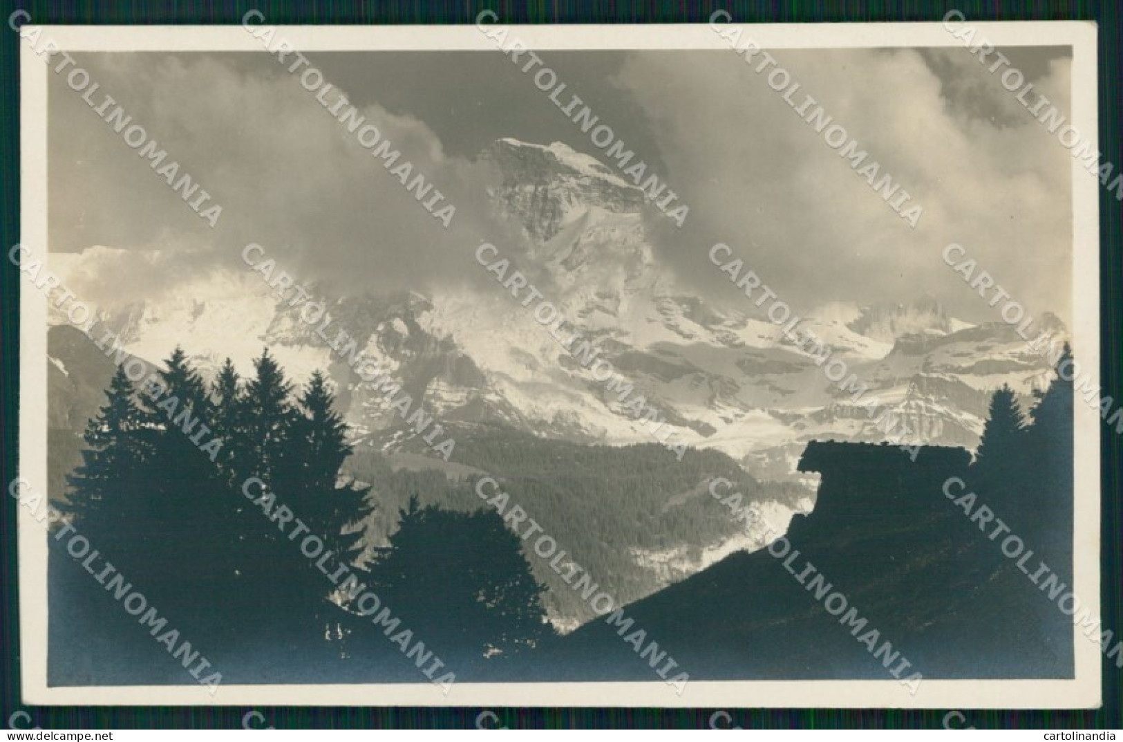 Svizzera Berna Monte Jungfrau Foto cartolina MX3268