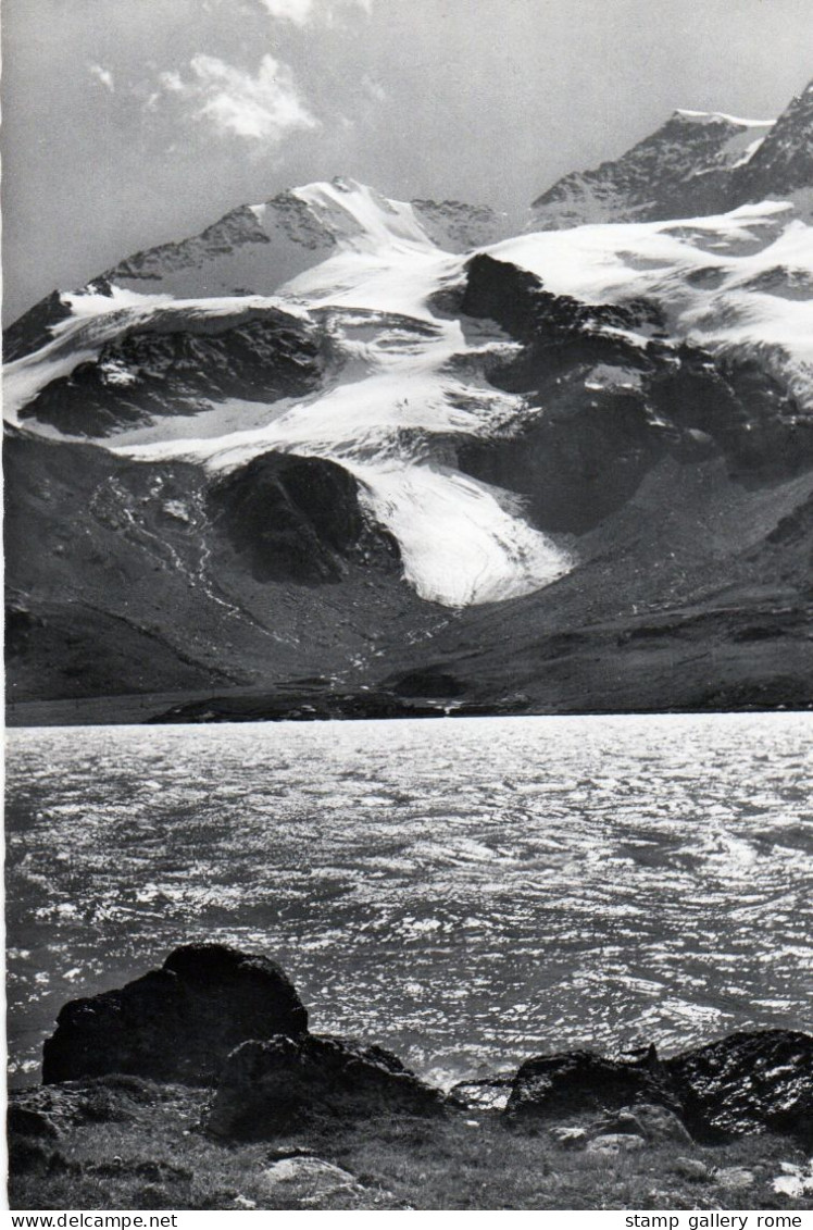 SVIZZERA – Veduta glaciale delle Alpi – Lago e ghiacciaio – Cartolina fotografica anni ’70