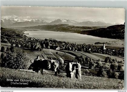 5707 Seengen 1953 Foto AK Hallwilersee - 38067534