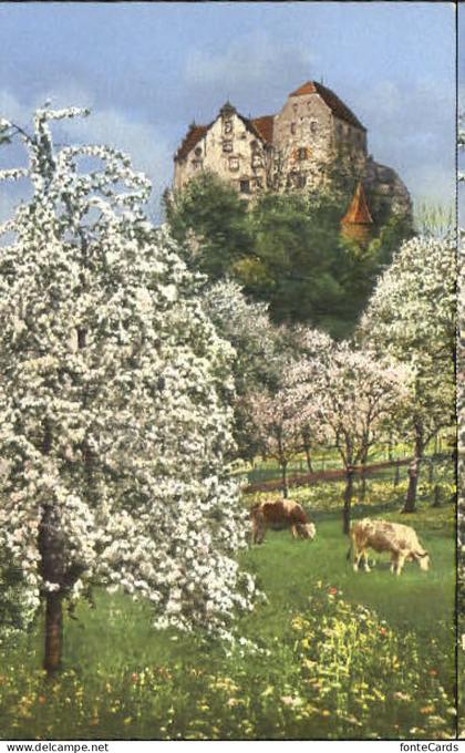 Wildegg Schloss Wildegg  ungelaufen ca. 1920