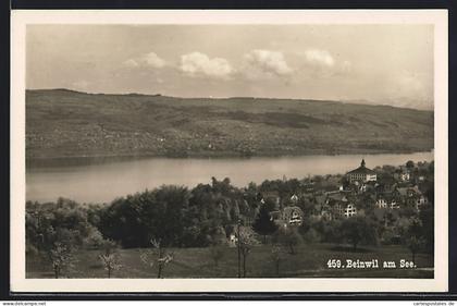 AK Beinwil am See, Ortsansicht mit Wasser