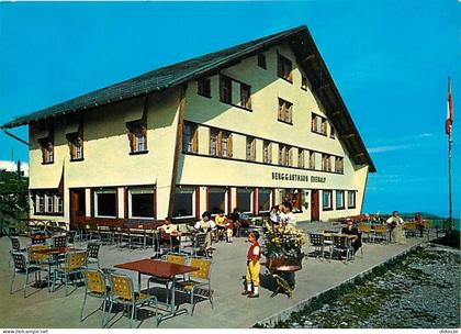 Carte Postale - Suisse - AI Appenzell Rhodes-Intérieures - Berggasthaus - Ebenalp 1644 m - CPM - Carte Neuve - Voir Scan