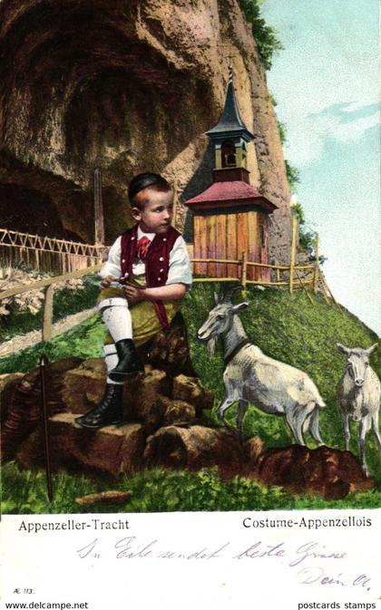 Appenzell, Appenzeller Tracht, Junge mit Ziegen, 1907