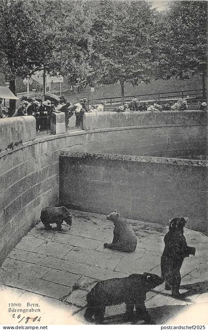 Lot296 barengraben bear bern  berna switzerland