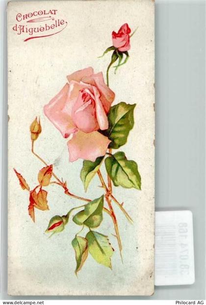 Rose Cocolat d`Aiguebelle Schokolade Werbe AK - 38074168
