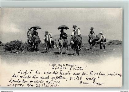 Sierre 1905 - Sur la Montagne - 11084739