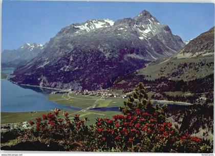 Silvaplana