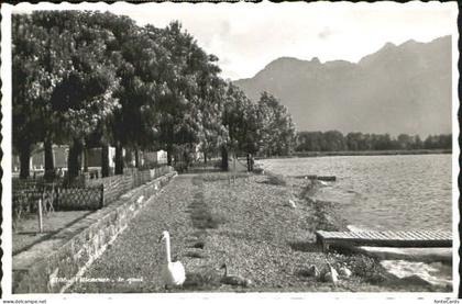 Villeneuve Villeneuve