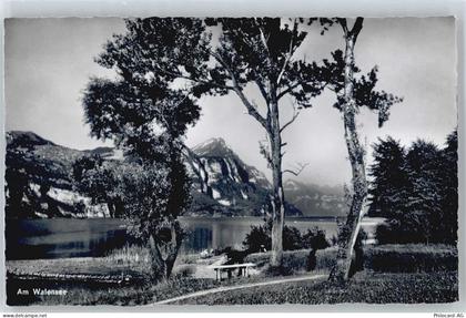 Walensee - 50439264
