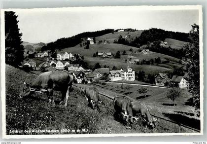 9428 Lachen - Kühe - 10644499