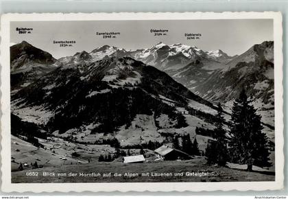 10499017 - Lauenen b. Gstaad
