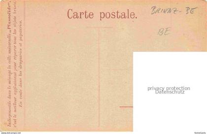 Brienz Brienzersee BE Bernerhaus am Brienzersee