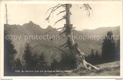 Cape au Moine Au Molard Vue sur la Cape au Moine