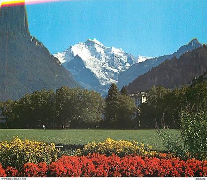 Carte Postale - Suisse - BE Berne - Interlaken - Jungfrau - CPM - Carte Neuve - Voir Scans Recto-Verso - Poscard - Carta