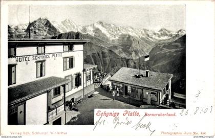 CPA Gündlischwand Kanton Bern, Hotel Schynige Platte