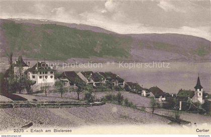 Erlach Bielersee BE Schloss Bielersee See Kirche Weinreben Dorf Berge